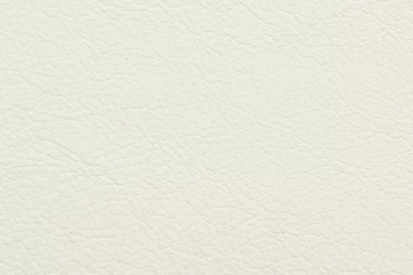 Aniline Leather - Bone