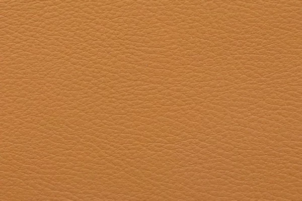 Aniline Leather - Camel