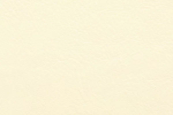 Aniline Leather - Cream