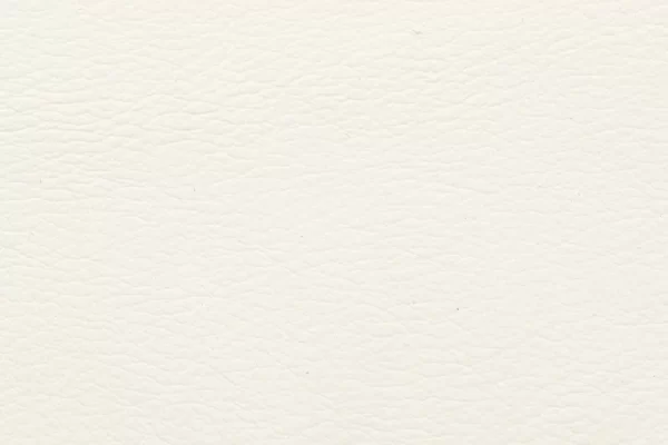 Aniline Leather - White