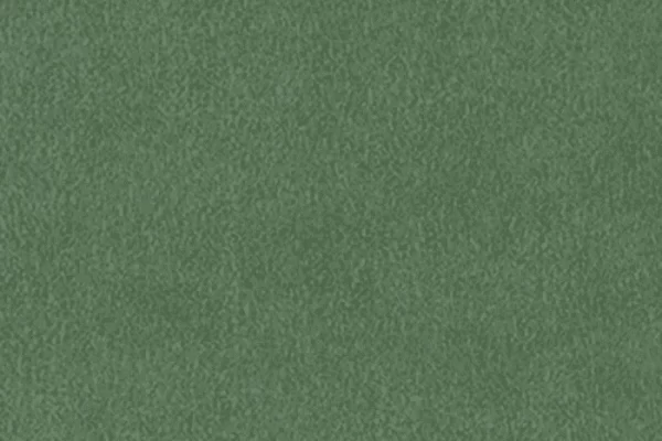 Classic Suede - Moss