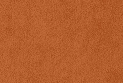 Classic Suede - Rust