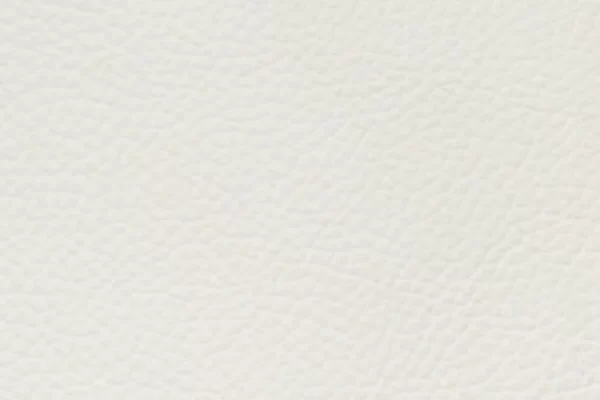 Top Grain Forte - Eggshell