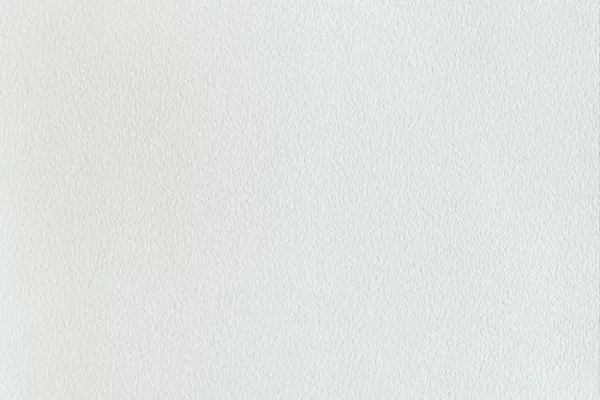 Vegan Leather - Winter White
