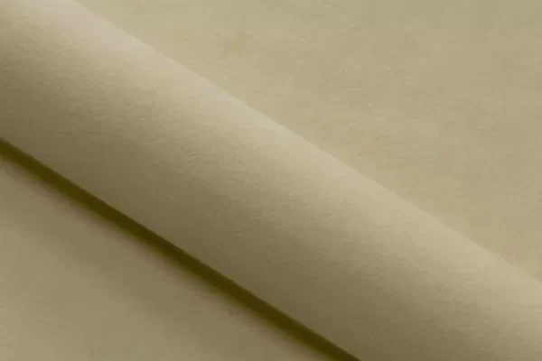 Velvet - Ecru Beige