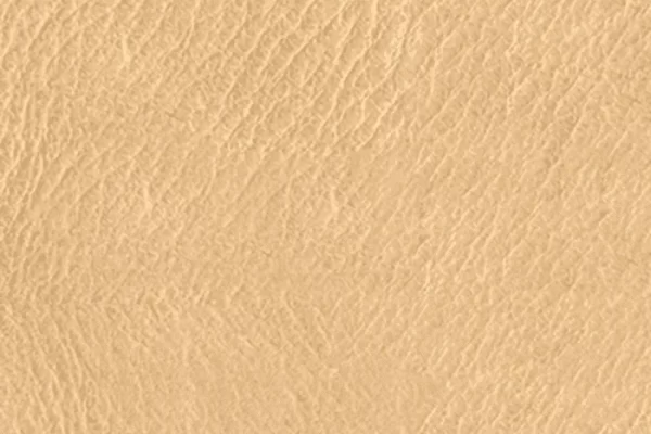 Vintage Leather - Cashew